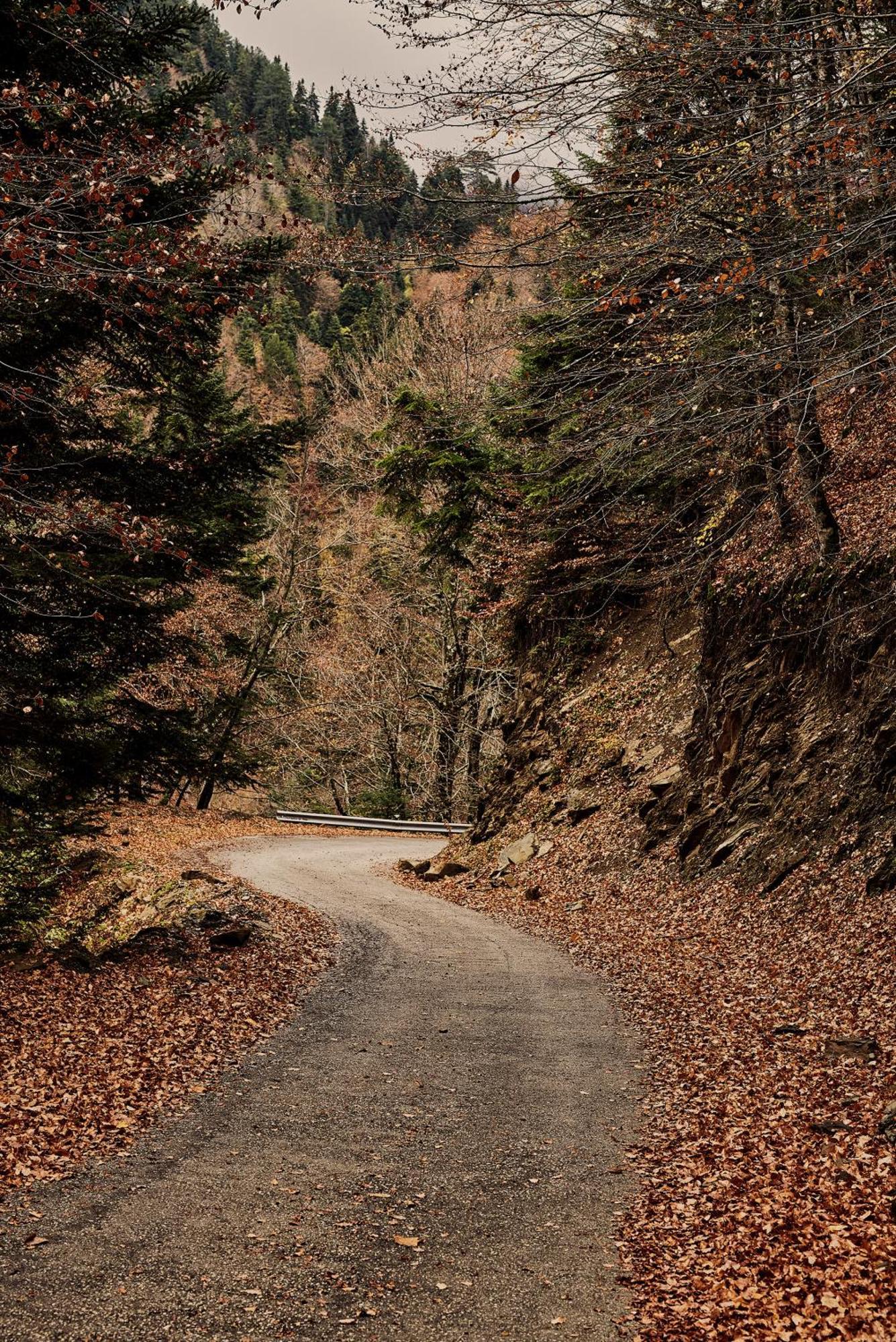 Grand Forest Metsovo - Small Luxury Hotels Of The World Exterior foto